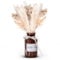 SPRINGSY Trockenblumen Pampasgras getrocknet im Glasvasen-Set – Perfekt als Deko Wohnzimmer und Schlafzimmer Deko. Individuelle getrocknete Blumen Bouquets für eine schöne Pampasgras Deko.