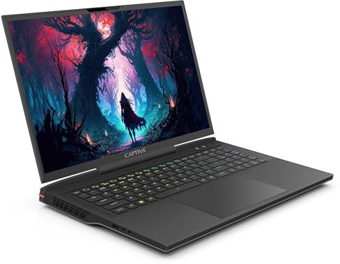 Captiva Notebook Highend Gaming I81-504 I Intel i9 14900HX I 32GB DDR5 RAM I RTX 4080 12GB I 1TB M.2 SSD I Windows 11 Home | Laptop - matt
