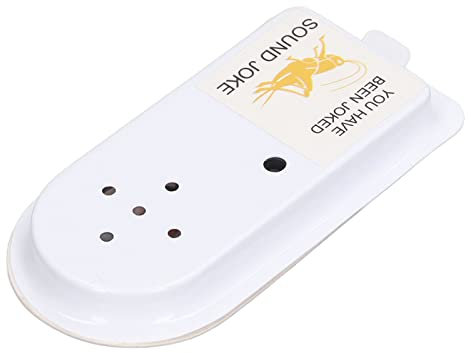 Grillen-Sound-Spielzeug, Klares Zwitscherndes Streich-Sound-Spielzeug, Automatisches Ausschalten auf der Rückseite, Selbstklebender Aufkleber, Lästiger Geräuschmacher,