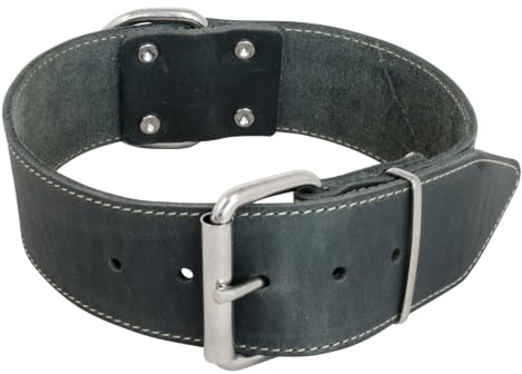 JACK AND VANILLA – Großes Hundehalsband aus Fettleder – für mittelgroße bis große Hunde – solide, langlebig, weich im Griff – moderner Look – grau, Größe 30 mm x 50 cm