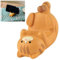 SoeUyd 2 Pièce Funny Cat Holder, Support de Téléphone Portable en Forme de Tête de Chat - Support de Téléphone Portable Mignon et Très Mignon (Chaton Orange + Chaton Fleuris)