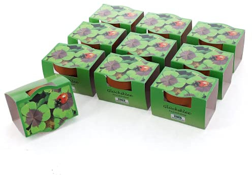 Bull & Bear 10er Set Mini-Pflanzset Glücksklee, 10x Kleezwiebeln im Topf 4,5cm, vierblättrige Kleeblätter als Anzuchtset mit Pflegeanleitung
