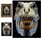 3D LiveLife Linsenförmige Wandkunst Drucke - T-Rex Schädel von Deluxebase. Ungerahmtes 3D Dinosaurier Poster. Perfekter Wandfüller. Original kunstwerk lizenziert von bekannt künstler, David Penfound