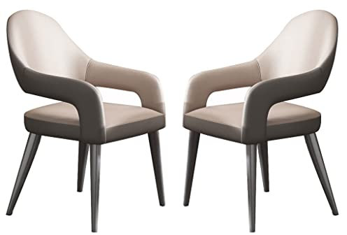UCKYSU Amenas Moderne Ledersessel für Küche, Küche, Esszimmer, mit Eisenkunst, Metall-Stuhlbeinen, für Zuhause, kommerzielle Restaurants, Wohnzimmer, 2 Stück (Hellgrau)