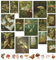 97 Decor Dark Goblincore Aesthetic Room Decor, Cottagecore Fairycore Wall Decor, Vintage Gobelincore Pilz Kunstdruck für Schlafzimmer (20,3 x 25,4 cm)