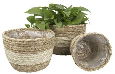 ZXZHYiYao Cesta de Jardinera de pastos Marinos en Interiores, Contenedores de Plantas, Jardinera de Mimbre Natural, Cesta Tejida a Mano, Jardinera de Mimbre