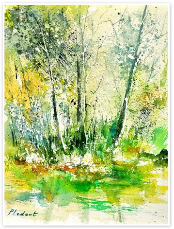 Posterlounge Sommerlicher Wald Poster