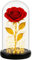 Retoo Ewige Rose im Glas mit LED Licht, Gefriergetrocknete Rosen als Geschenk für Frauen, Rote Konserviert Blume Schöne und das Biest Figur, Infinity Blume mit Glitzer, Geschenkbox für Geburtstag Vale
