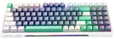 FytStycale Tastiera Gaming Senza Fili Tastiera Meccanica Tastiera Tastiera Compatta con Layout 94 Tasti Risposta Tattile Stabile Manutenzione Semplice