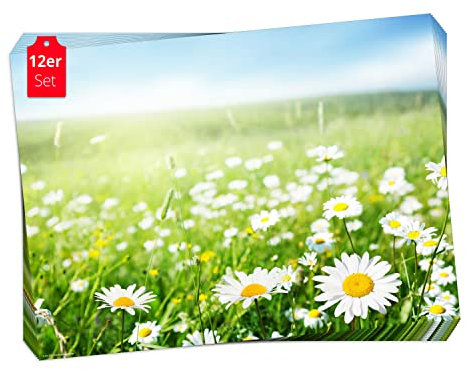 Tischset, Platzset - Wiese mit Gänseblümchen - 12 Stück Made in Germany, 44x32cm aus speziellem Naturpapier in Aufbewahrungsmappe – die besondere Tischdeko für Frühling, Ostern & Blumen