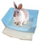 kathson großes Kaninchenklo zum Trainieren, Töpfchen-Ecktoilette mit Schublade, größes Klo für erwachsene Hamster, Meerschweinchen, Frettchen, Galesaur, Hase und andere Tiere (Blau)