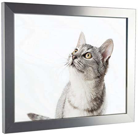 myposterframe Komfort Juno 30 x 40 cm Rahmen Alu gebürstet
