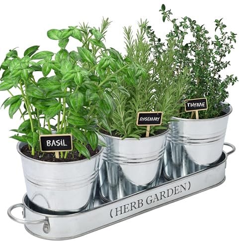 PERFNIQUE Jardinière d'herbes aromatiques d'intérieur pour intérieur/extérieur, Pots de Fleurs de Ferme, kit de Jardin d'herbes aromatiques avec Plateau, Pots de fenêtre pour Plantes d'intérieur