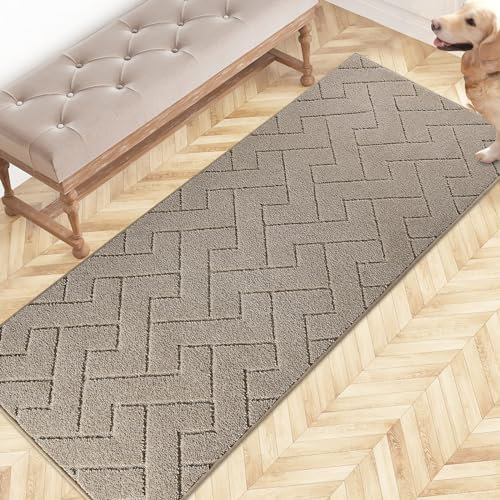 FCSDETAIL Schmutzfangmatte Innen 60 x 150 cm, rutschfeste Fußmatte, waschbar Sauberlaufmatte, absorbierend Fussmatte, Läufer Teppich für Hund, Eingang, Haustür, Flur, Küchen