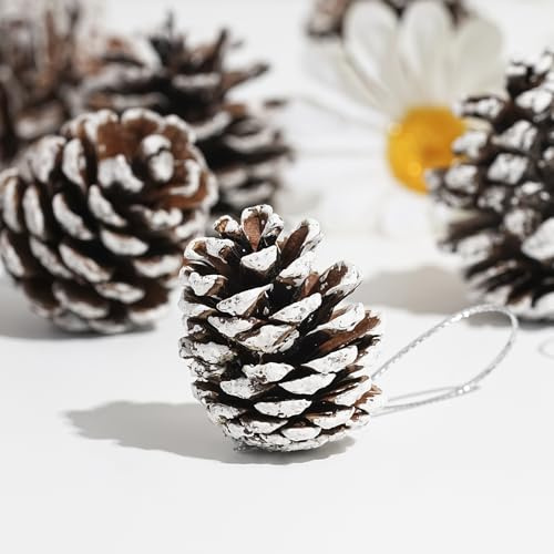 DAHI Tannenzapfen Anhänger Weihnachtsschmuck Zapfen Deko zum Anhängen Pinienzapfen als Weihnachtsdekoration (Weiß (klein))