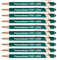 HEYZARDA Kugelschreiber mit Gravur Namen Text Logo für Büro Schule Business Stift 50 Pcs grün