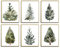Weihnachtsbaum-Poster, Wandkunst – 20,3 x 25,4 cm, Wanddekoration, ästhetische botanische Bilder, Winterkunst, Kiefern, Galerie, Wanddrucke für Urlaub, Schlafzimmer, Badezimmer, Wohnzimmer, ungerahmt