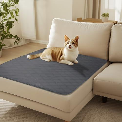 luciphia 100% wasserdichte Hundedecke mit Rutschfesten Punkten, rutschfeste Hundedecke als Schutz für Sofa Bett Auto, Robuste Hundematte Maschinenwaschbar für Unterwegs Hunde, Grau 101 * 127cm