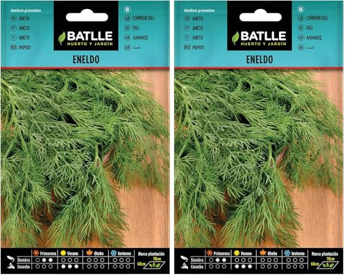 Graines aromatiques de Batlle - Aneth (10g), menthe (Lot de 2)