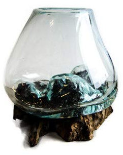 Wurzelholz | Vase | Kaffeewurzel | Glasvase | Handarbeit | jede Vase ein Unikat | klein