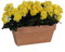 MICA Decorations Begonia Jardinière en Ardoise Terra Jaune 29 x 13 x 25 cm