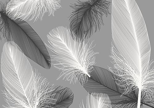 STROXTH WALLPAPER Papier Peint Panoramique Plumes Noir Et Blanc Sur Mesure Murales Salon Adulte 3d Moderne Haute Définition Plume Gris Paysage Chinois Chambre Enfant Poster Geant Mural