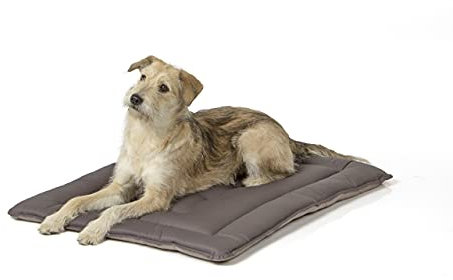 Wallace & Jones | Wendedecke pflegeleicht waschbar bis 95°C - gepolsterte Indoor/Outdoor Liegedecke für Hunde | XL - 90 x 70 cm - Hellgrau/Dunkelgrau