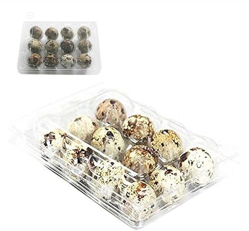 30 Stück Wachteleierboxen, Wachteleierboxen mit 12 Gittern, Wachteleierboxen, Eierboxen, Wachteleierboxen aus Kunststoff, transparente Eierbox für Wachteleier