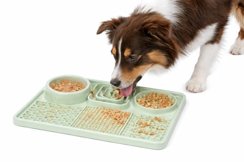 hundenapf - katzennapf - leckmatte Hund - Pengu rechteckig - hellgrün - 30,5x20,5 cm - silikon - 2 in 1 napf und leckmatte - mit saugnäpfen