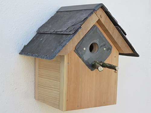 Bird House Nesting Bird Box - 25mm Hole - Blue tits