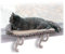 K&H PET PRODUCTS Deluxe Kitten Sill w/Bolster Cat Perch, Cat Hammock Seat - Tan Kitty Print