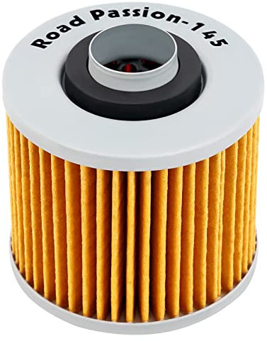 Road Passion Filtro Olio per YAMAHA XT660 2008 XT660R 04-14 XT660Z TENERE 08-13 XT660X 10-11 XT660 X SUPER MOTARD 04-10