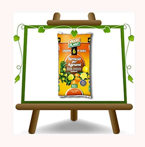 Terriccio per Agrumi – Vigorplant– 45 L - Terriccio formulato per soddisfare le particolari esigenze degli agrumi
