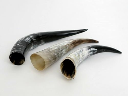 Brillibrum 1 B-Ware Kuhhorn 15-50 cm Kuhhörner Rinderhörner Stierhörner Poliert Dekoration Länge Stier Horn Trophäe basteln dekorieren schmücken, Größe: 21-30 cm