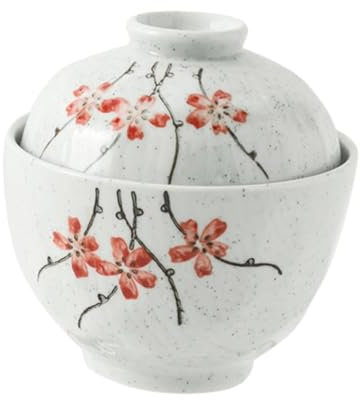 1 ensemble de marmite à ragoût en céramique, bol à ragoût en céramique, bol à soupe avec couvercle, bol en céramique japonais, marmite à ragoût, bol à soupe en céramique, nid d'oiseau Pho, coquetier à