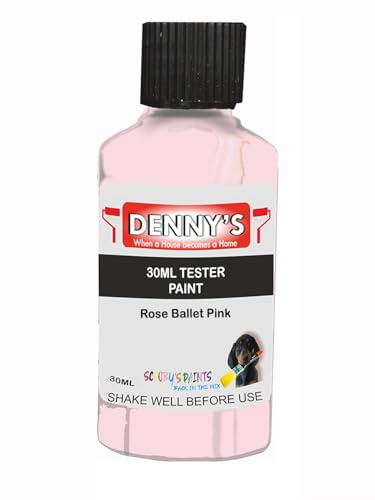 Premium Interior Wall & Furniture Chalk Paint – Rose Ballet Pink – Rich Matt Finish, Durable & Washable, Low Odour, Ideal for Living Rooms, Bedrooms & Hallways (30ML Tester Bottle)