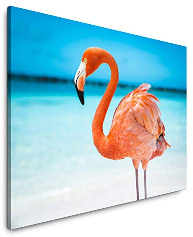 Paul Sinus Art Flamingo im Meer 40 x 60 cm Inspirierende Fotokunst in Museums-Qualität für Ihr Zuhause als Wandbild auf Leinwand in