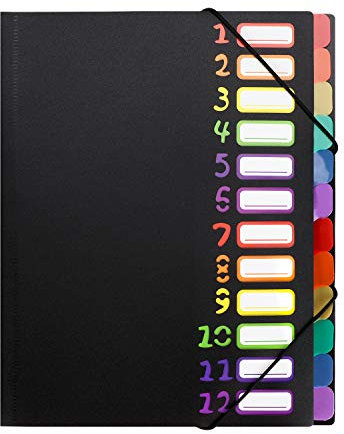 Dokumentenmappe A4 Pultordner Farbig 12 Fächer Sammelmappe Datei Organizer Wasserdicht Aktenordner Büro Ringordner Tragbar Ordnungsmappe Trennblätter Projektmappe Dokumente Ringbuch mit Gummizug