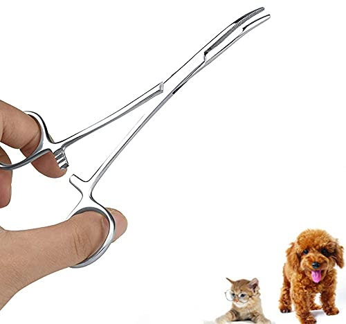Oumefar Pinzas de Pelo de Oreja de Mascota de Acero Inoxidable Tijeras de Aseo del hogar para Perros Limpieza de la Cara Clip Recto rizador de Pelo para Tijeras de Adelgazamiento(Big)
