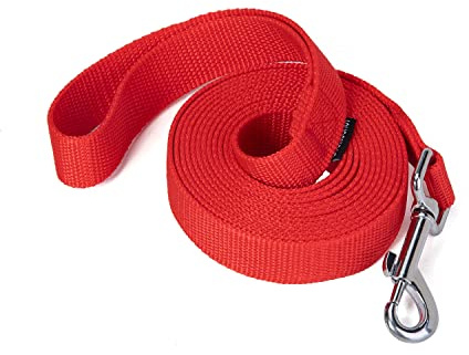 Siumouhoi Strong Durable Nylon Dog Training Leash, 1 Inch Wide Traction Rope, 6 ft 10ft 15ft Long, for Small and Medium Dog (Red, 10 Feet)