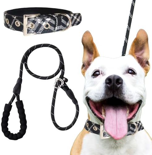 DKDDSSS 2 Pack Dog Collar and Lead Set, Adjustable Collar and Lead with Comfortable Padded Handle, for Medium and Large dogs