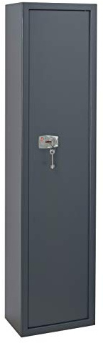 THIRARD - Armoire à Fusils Brissac - Sécurisée - Acier - Capacité 5 Fusils - Fermeture Par Clé - Verrouillage 4 Pênes de Ø18 mm - 1250 x 310 x 200 mm - Gris