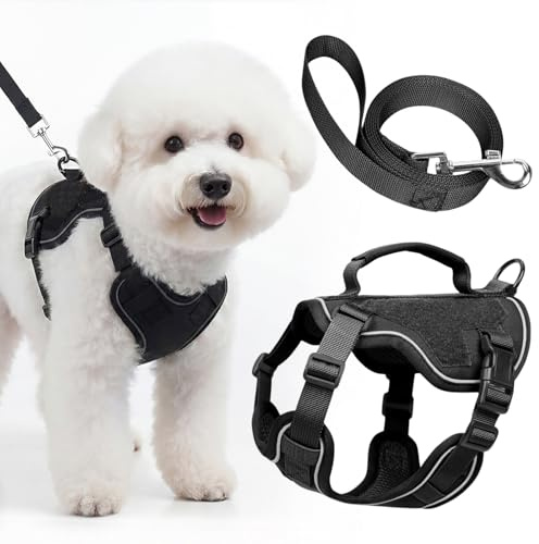 Ledeak Hundegeschirr mit Hundeleine Set, No Pull Verstellbare Sicherheitsgeschirr, Reflektierend Weich Gepolstert Geschirr, Hundegeschirre mit Griff für Kleine Mittel Hunde (Schwarz, XXXS)