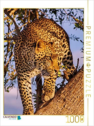 CALVENDO Puzzle Leopard 1000 Teile Puzzle hoch | 1000 Teile Lege-Größe 48 x 64 cm Foto-Puzzle für glückliche Stunden