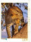 CALVENDO Puzzle Leopard 1000 Teile Puzzle hoch | 1000 Teile Lege-Größe 48 x 64 cm Foto-Puzzle für glückliche Stunden