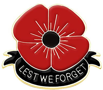TFCRDX 1 broche coquelicot rouge en forme de fleur de coquelicot - Bijoux - Pin's pour le jour du souvenir des vétérans, Small, Métal