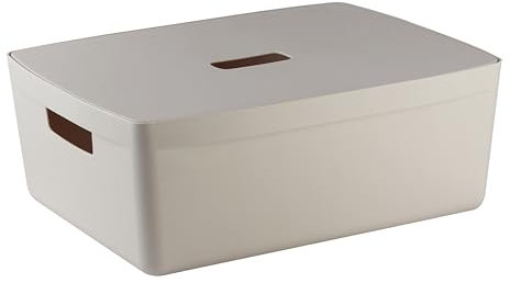 IDEA HOME Plastic Storage Box with Lid - Storage Boxes - Storage Organiser - Really Useful Boxes for Storing Various Items in the Living Room, Bedroom or Bathroom, 19L