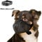 Maulkorb Mittlere/für große Hunde,Fressschutz Hund, Verstellbarer Atmungsaktiver Maulkorb für Haustiere,Anti-Kau-Mundschutz für Hunde,Passendes Hundehalsband(L)