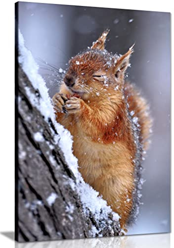 Panther Print Fine Art Prints Chilly Cute Red Squirrel Wildlife Artistic Framed Canvas Print, Pictures for Home Walls, Bedroom, Living Room & Bathroom Decor 76x51cm (30x20in)