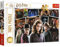 Trefl Harry Potter 160 Piece Jigsaw Puzzles for Kids – Wizard Puzzle for Children – For Ages 6+